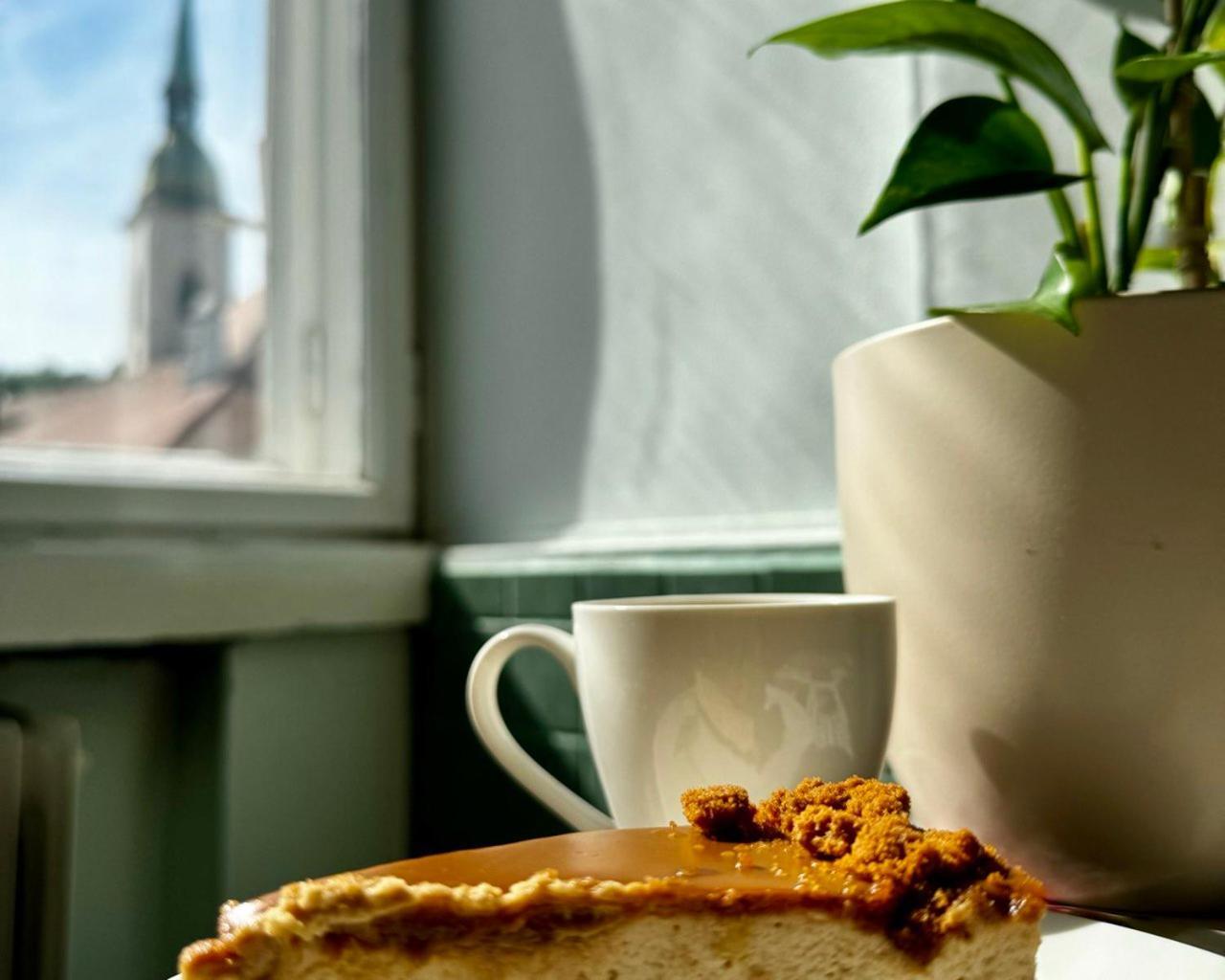 Extralarge Queen Room In The Heart Of Bratislava With Terrace Экстерьер фото