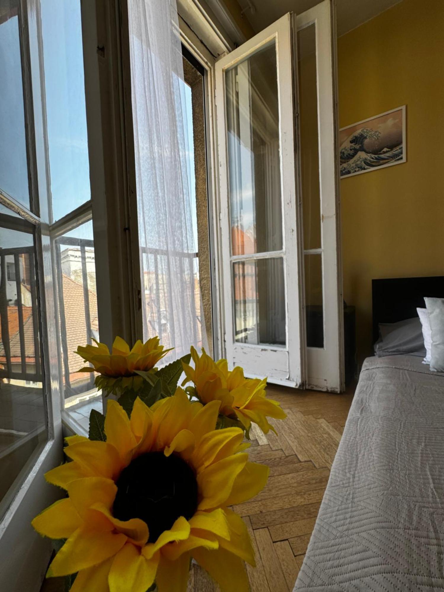 Extralarge Queen Room In The Heart Of Bratislava With Terrace Экстерьер фото