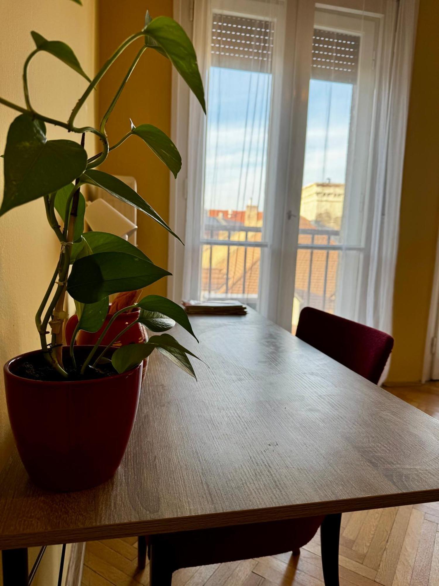 Extralarge Queen Room In The Heart Of Bratislava With Terrace Экстерьер фото
